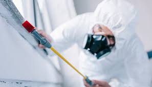 Real Estate Pest Inspections in Freeland, MI